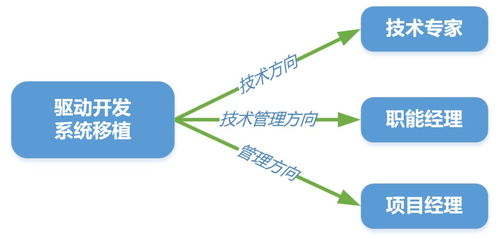 軟件工程師適合去芯片公司嗎
